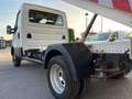 Iveco Daily Iveco Daily 2.3-Diesel-Manuale-136 CV RIBALTABILE Bianco - thumbnail 13