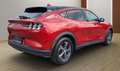 Ford Mustang Mach-E 76 kWh Standard Range Tech.1 DAB, Digitales Coc... Rojo - thumbnail 3