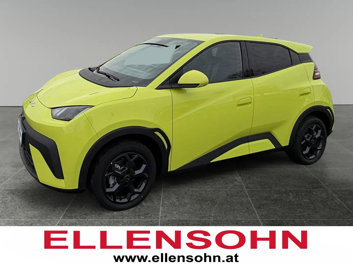 BYD Dolphin Surf Comfort Grün - 1