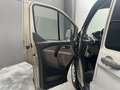 Ford Tourneo Custom 2.0 TDCI 131 cv 8 posti - doppia porta scorrevole - thumbnail 33