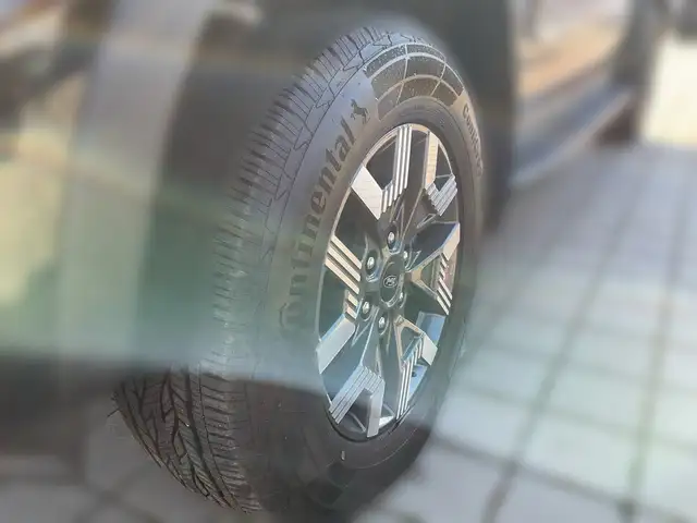 Ford Ranger Wildtrak PHEV DK 4WD Ansicht 10