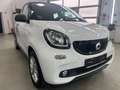 smart forFour Passion Einparkhilfe Sitzhzg. Garantie Weiß - thumbnail 1