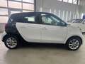 smart forFour Passion Einparkhilfe Sitzhzg. Garantie Weiß - thumbnail 7