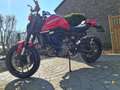 Ducati Monster 937 Ducati MOnster 937+ - thumbnail 3