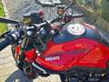 Ducati Monster 937 Ducati MOnster 937+ - thumbnail 4