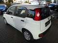 Fiat Panda Easy -- Klimaanlage-TÜV/AU NEU-- Weiß - thumbnail 5