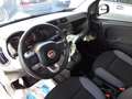 Fiat Panda Easy -- Klimaanlage-TÜV/AU NEU-- Weiß - thumbnail 6