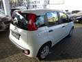 Fiat Panda Easy -- Klimaanlage-TÜV/AU NEU-- Weiß - thumbnail 3