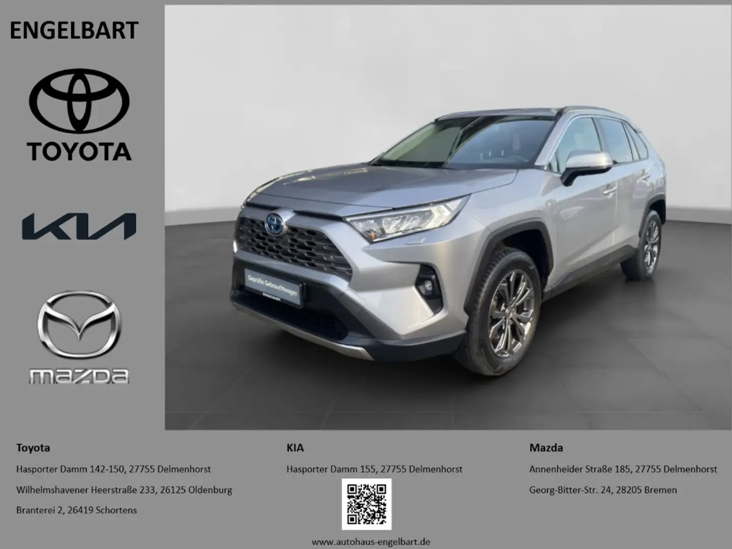 Toyota RAV 4 2.5 Hybrid Team Deutschland Technik Paket NAVI Gris - 1