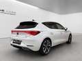 SEAT Leon FR | Pano | Beats | Ambiente | Kamera | Virtual Weiß - thumbnail 6
