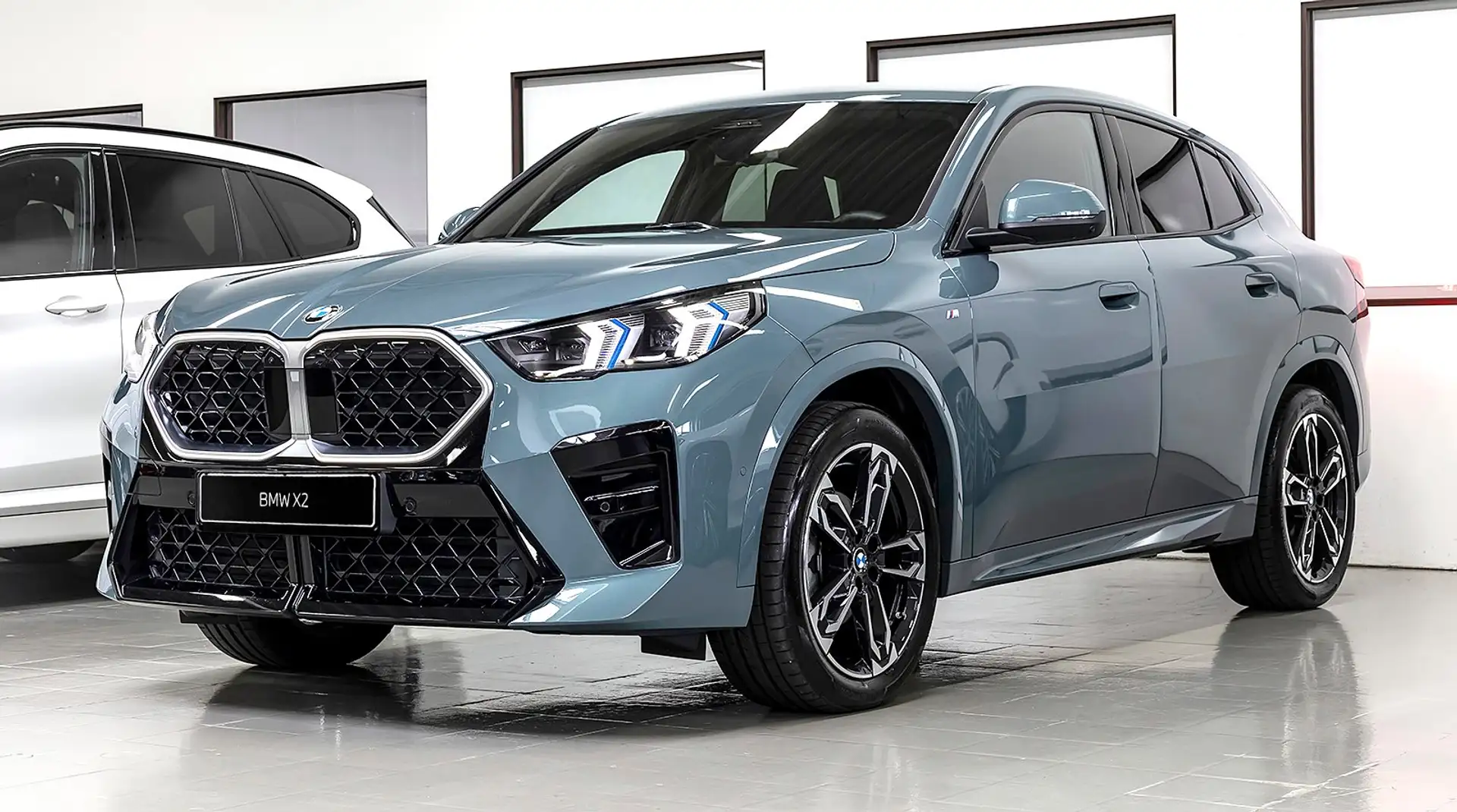 BMW X2 sd20d M-SPORT SAG LCP HUD DA+ MEMO 360° H&K 19" Vert - 1