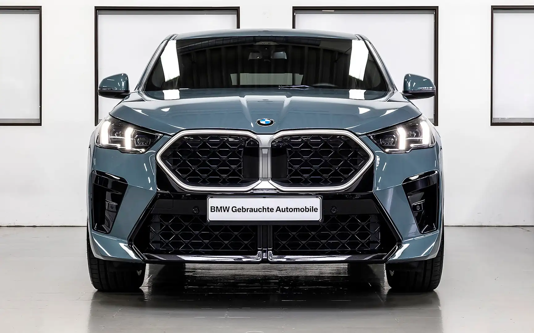 BMW X2 sd20d M-SPORT SAG LCP HUD DA+ MEMO 360° H&K 19" Grün - 2