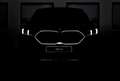 BMW X2 sd20d M-SPORT SAG LCP HUD DA+ MEMO 360° H&K 19" Grün - thumbnail 3