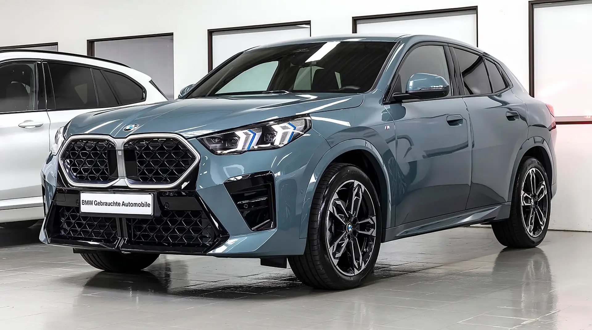 BMW X2 sd20d M-SPORT SAG LCP HUD DA+ MEMO 360° H&K 19" Grün - 1