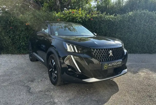Peugeot 2008 view 8