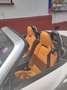 Fiat 124 Spider 124 Spider 1.4 MultiAir Turbo Automatik Lusso Weiß - thumbnail 11