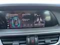 Alfa Romeo Stelvio 2.2 JTDM TI Q4 Rot - thumbnail 28