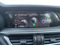 Alfa Romeo Stelvio 2.2 JTDM TI Q4 Rot - thumbnail 27