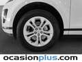 Land Rover Range Rover Evoque 2.0D Standard FWD 150 Blanco - thumbnail 32