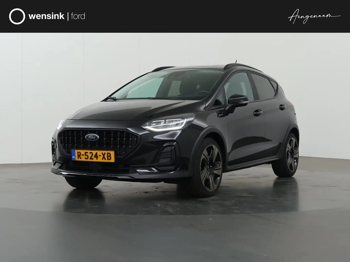 Ford Fiesta 1.0 EcoBoost Hybrid Active X | Navigatie | Winterp Noir - 1
