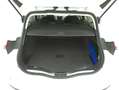 Ford Mondeo SW Titanium Business Auto 2.0 Diesel 150CV Bianco - thumbnail 14