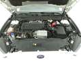 Ford Mondeo SW Titanium Business Auto 2.0 Diesel 150CV Bianco - thumbnail 13