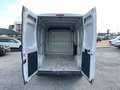 Fiat Ducato 33q 2.2 Mjt 140CV PM-TM / IN PRONTA CONSEGNA Blanc - thumbnail 6