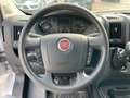 Fiat Ducato 33q 2.2 Mjt 140CV PM-TM / IN PRONTA CONSEGNA Blanc - thumbnail 10