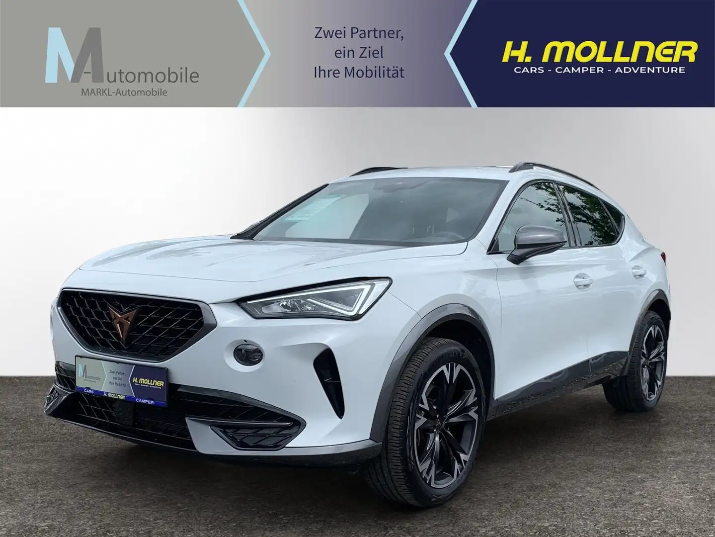 CUPRA Formentor DSG Weiß - 1