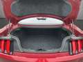 Ford Mustang Fastback Automatik Leder Rojo - thumbnail 17