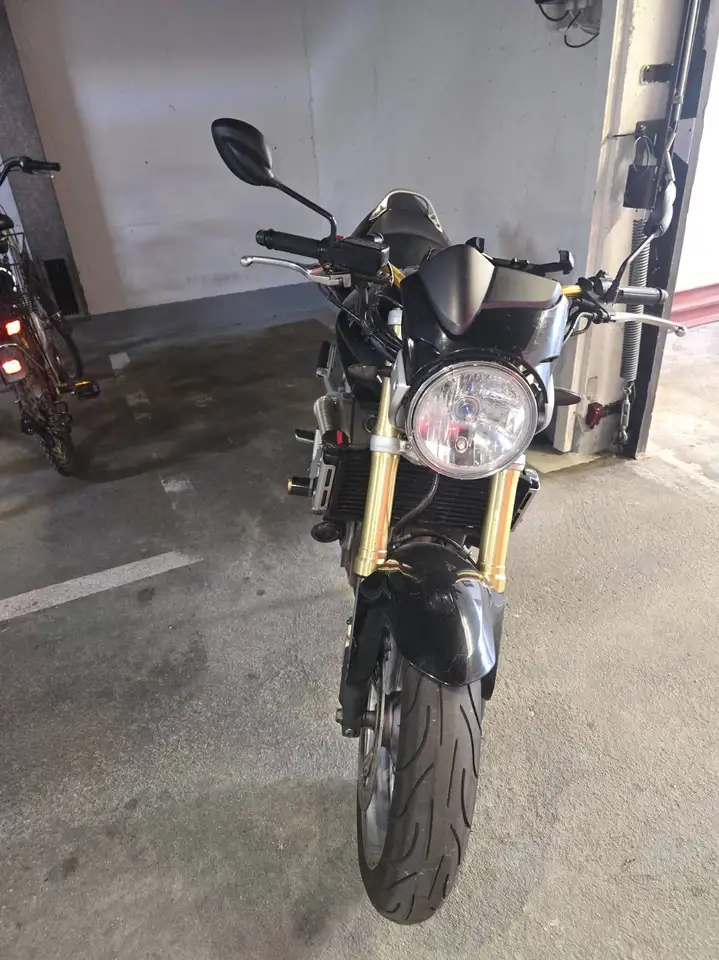 Honda Hornet