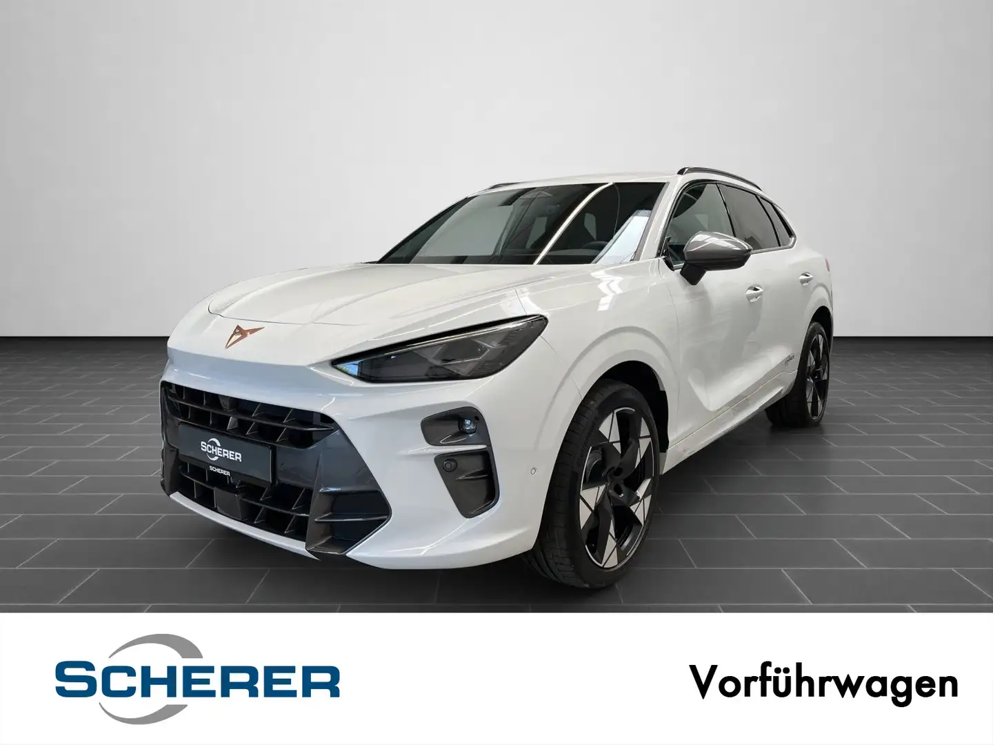 CUPRA Terramar VZ 2.0TSI  20"/Headup/TopView/Sennheise Weiß - 1