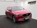 Mazda CX-5 Automatik Exclusive-Line AWD HUD Navi 360 Kamera L Rood - thumbnail 2