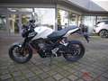 Honda CBF 125 CBF125NAR ED CB125R neues Modell Bianco - thumbnail 2