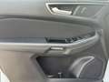 Ford Galaxy Titanium 7Sitze AUT Weiß - thumbnail 8