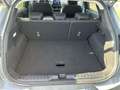 Ford Flex 1.0 Flexifuel 125ch S\u0026S mHEV Titanium Grau - thumbnail 13