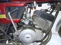 Moto Guzzi 250 TS Elettronica Rood - thumbnail 7