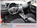 Renault Kadjar TCe 140 EDC LIMITED Winterpaket Navi Allwetter Rojo - thumbnail 5