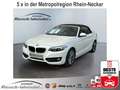 BMW 218 i Advantage Navi Leder Soundsystem HarmanKardon LE White - thumbnail 1