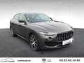 Maserati Levante 3.0 V6 Diesel Q4 Pack Luxury + Options Grau - thumbnail 10