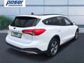 Ford Focus Active  Turnier 1.5 EcoBoost HuD LED RFK Blanco - thumbnail 4