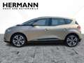 Renault Scenic IV 1.3 TCe 140 Intens *Panorama*Navi*DAB* Beige - thumbnail 3