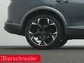 CUPRA Formentor 1.5 TSI DSG NAVI PANO AHK KAMERA LED Grau - thumbnail 24