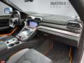 Lamborghini Urus Performante Carbon Production COC 2025 !! Grau - thumbnail 15