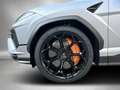 Lamborghini Urus Performante Carbon Production COC 2025 !! Grau - thumbnail 26