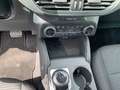 Ford Kuga Plug-In Hybrid Titanium Weiß - thumbnail 12
