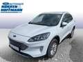 Ford Kuga Plug-In Hybrid Titanium Weiß - thumbnail 1