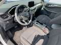 Ford Kuga Plug-In Hybrid Titanium Weiß - thumbnail 10