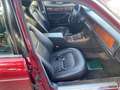 Jaguar XJ XJ 6 3.2 Czerwony - thumbnail 10