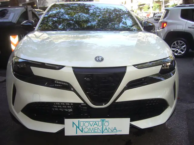 Alfa Romeo Junior